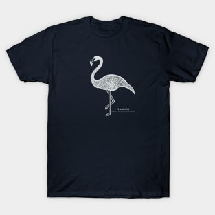 Flamingo with Common and Latin Names - line art bird design T-Shirt